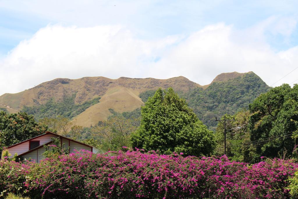 Valle Hotel